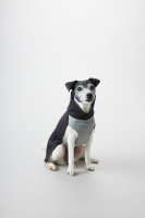 Recovery Wintershirt Grau für Hunde 45