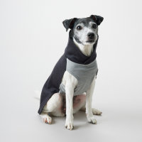 Recovery Wintershirt Grau für Hunde 55