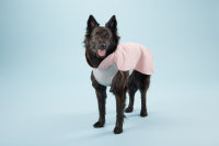 PAIKKA Recovery Wintershirt Rosa für Hunde