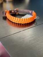 Molly and Stitch Touch of leather Hundehalsband - Pumpkin