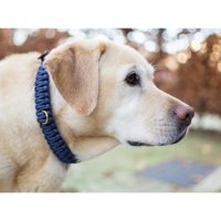 Molly and Stitch Touch of leather Hundehalsband - Navy Blau