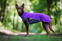 JumppaPomppa Hundepullover violet 44