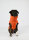 THE DOG IDEA Wintermantel EASTON Orange