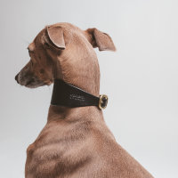 Hundehalsband Windhund Roue