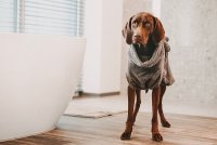 Lill´s Hundebademantel aus Bio-Baumwolle 3XS Grey